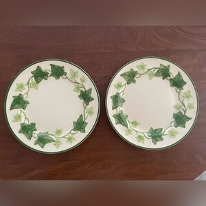Franciscan Ivy Dinner Plates Set of 2